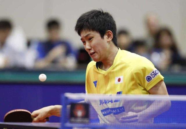 根本上伤害 根本上伤害