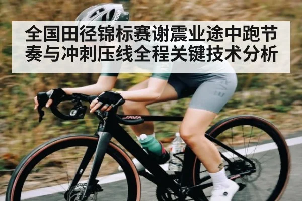 全国田径锦标赛谢震业途中跑节奏与冲刺压线全程关键技术分析